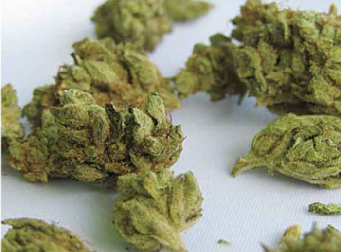 歌手チャイルディッシュ・ガンビーノのフェスティバルで大麻吸引の話題とカナダの大麻使用者が増加傾向の分析｜カナダから見るマリファナ合法化のあと