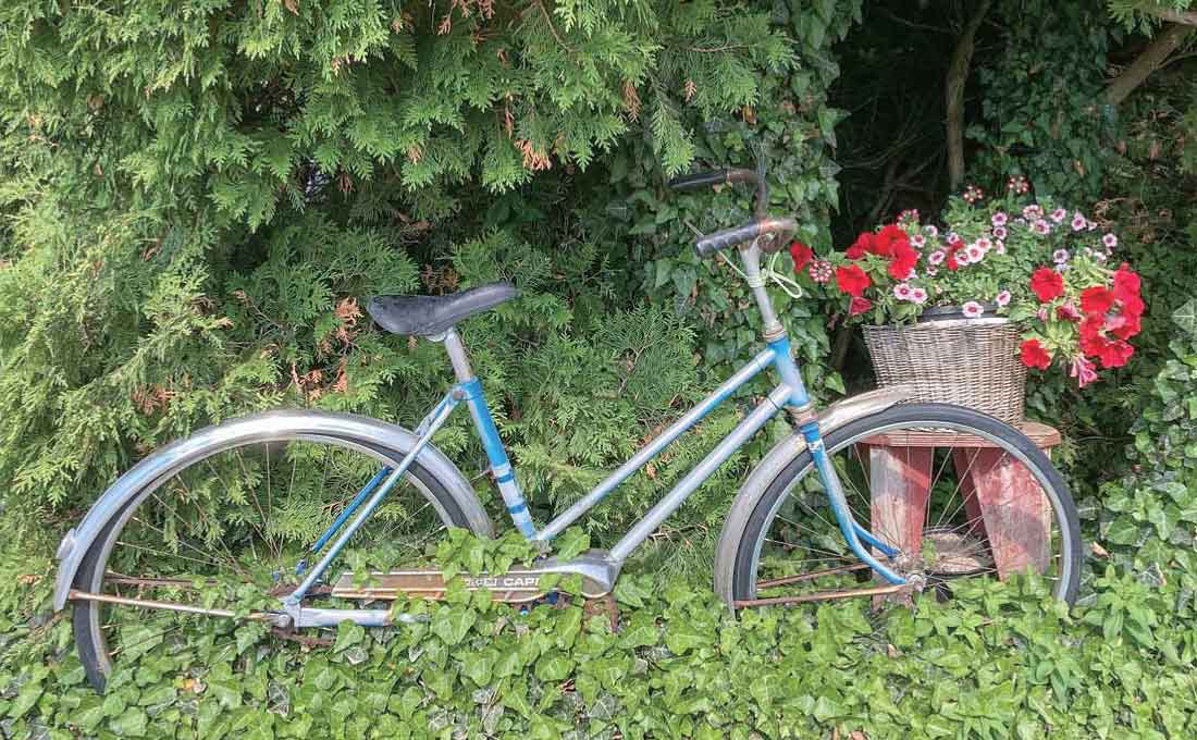 古い自転車も園芸品にーラバーズ・レーンで