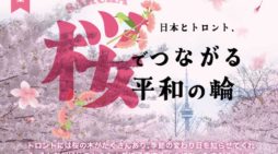 日本とトロント、桜でつながる平和の輪｜特集「桜とお餅」