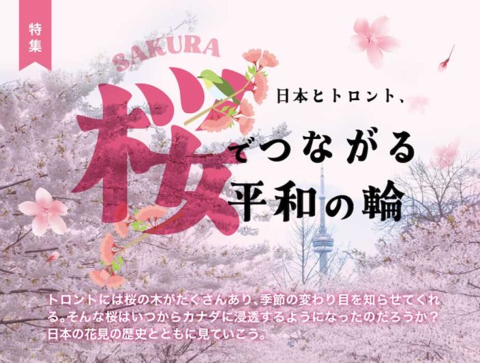 日本とトロント、桜でつながる平和の輪｜特集「桜とお餅」