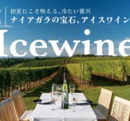 初夏にこそ映える、冷たい贅沢ナイアガラの宝石、アイスワイン｜特集「 初夏にこそ映える、冷たい贅沢ナイアガラの宝石、アイスワイン」