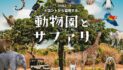 トロントから冒険する、動物園とサファリ｜特集