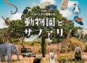 トロントから冒険する、動物園とサファリ｜特集
