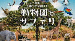 トロントから冒険する、動物園とサファリ｜特集