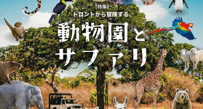 トロントから冒険する、動物園とサファリ｜特集