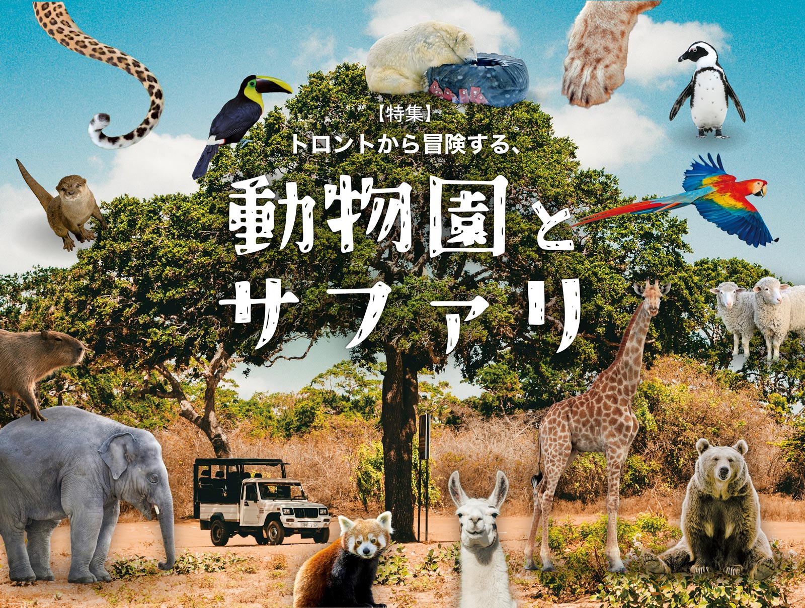 特集